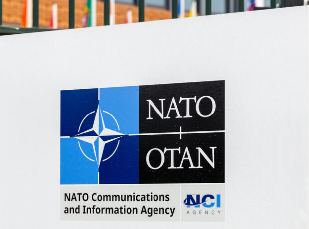 image-69231d4302e8bd166a57e65e