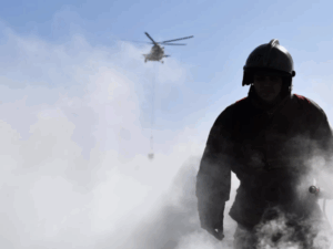 image-69240de0ae5ac932c0108286