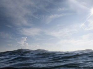 image-692ad12eae5ac93c5c571c41