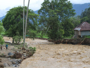 image-692ad18102e8bd4cd65baf54