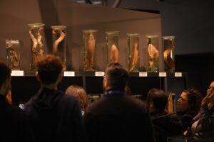 image-img-20251031-wa0098