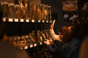 image-img-20251031-wa0099