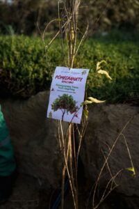 image-img-20251118-wa0075