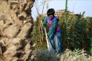 image-img-20251118-wa0076