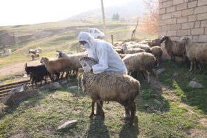 image-img-20251125-wa0016