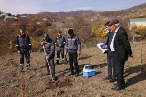 image-img-20251125-wa0019