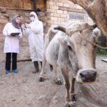 image-img-20251125-wa0022