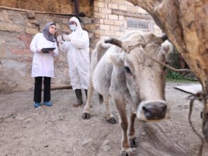 image-img-20251125-wa0022