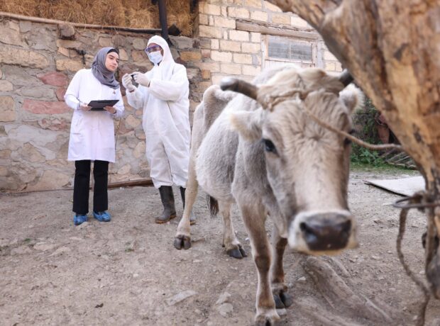 image-img-20251125-wa0022