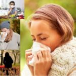 image-payizz-450x300