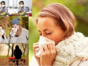 image-payizz-450x300