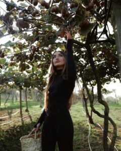 image-showpic_el100-1