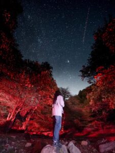 image-showpic_el100-2