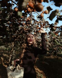 image-showpic_el100-6