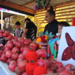 image-w_161762685885308728148_1200x630