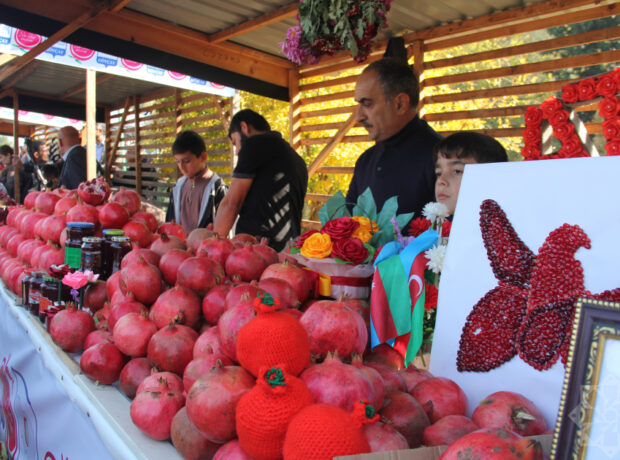 image-w_161762685885308728148_1200x630