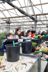 image-17645809722652739258_1200x630