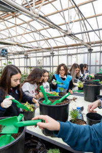 image-1764580972365492699_1200x630