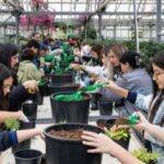 image-creator-gd-jpeg-v1-0-using-ijg-jpeg-v62-quality-100