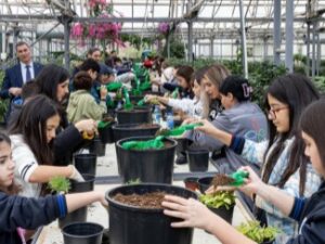 image-creator-gd-jpeg-v1-0-using-ijg-jpeg-v62-quality-100