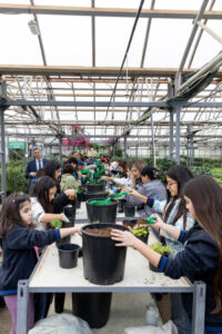 image-17645809724627926651_1200x630