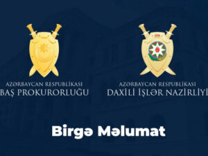 image-17646007821065832472_1200x630