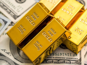 image-17646563224753240301_1200x630