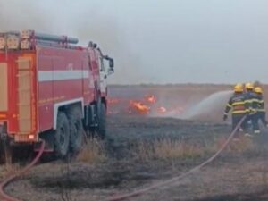 image-creator-gd-jpeg-v1-0-using-ijg-jpeg-v62-quality-100