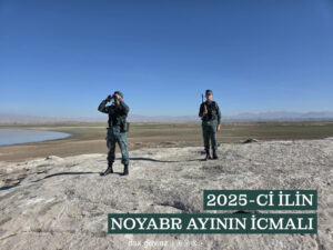 image-17647396362161260727_1200x630