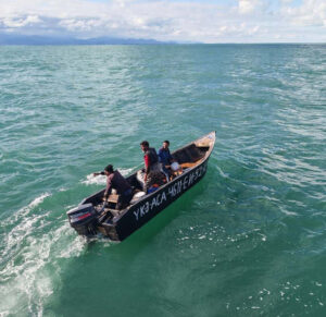 image-17647396362368760366_1200x630