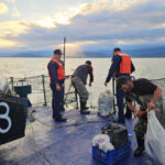 image-17647396362728462391_1200x630