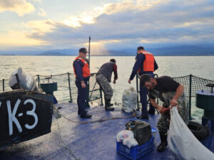 image-17647396362728462391_1200x630