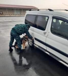 image-17647396364101263531_1200x630