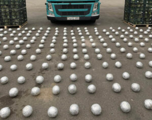 image-17647396365338118286_1200x630