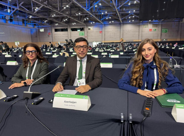 image-1764744841341013801_1200x630