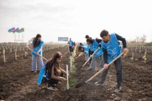 image-17647528502109461546_1200x630