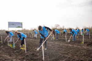 image-17647528502418923490_1200x630