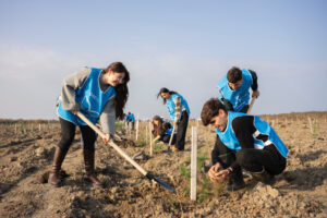 image-17647528502646033461_1200x630