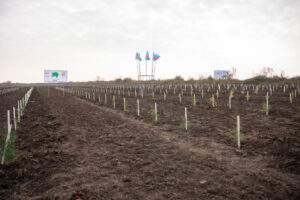 image-17647528503514863777_1200x630