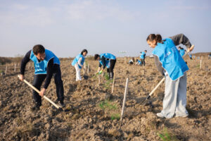 image-17647528504145823730_1200x630