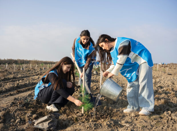 image-17647528505260840691_1200x630