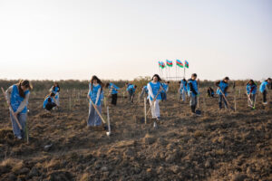 image-17647528505681110377_1200x630