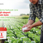 image-1764767595305768021_1200x630