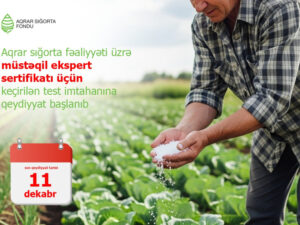 image-1764767595305768021_1200x630