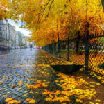 image-176492496340906367_1200x630