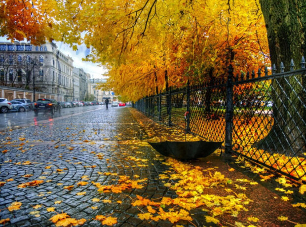 image-176492496340906367_1200x630