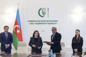 image-17649314856409423561_1200x630