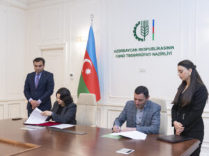 image-1764931485932024708_1200x630