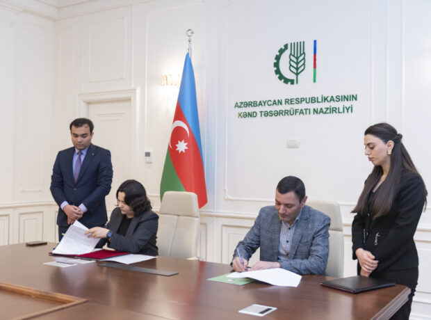 image-1764931485932024708_1200x630