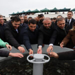 image-17649452161809433924_1200x630